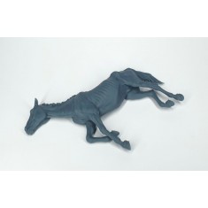 1/35 Dead Emaciated Horse