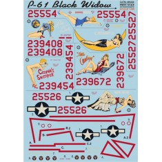 1/48 P-61 Black Widow (Part 1) Decals