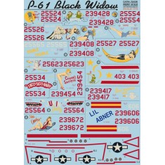 1/72 Northrop P-61 Black Widow Decals