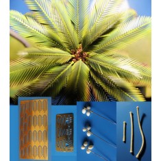 1/48, HO Scale Distorted Palm Tree (210mm)