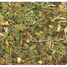 Ground Detailed Scatter for Groundwork- Dark Forest (80ml)