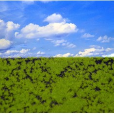 Landscape Mat - Wild Grass Type 2 (Size: approx. 20 x 30cm, thick: 1cm)