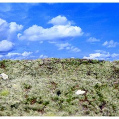 Landscape Mat - Wasteland (Size: approx. 20 x 30cm, thick: 1cm)