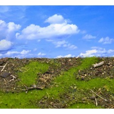 Landscape Mat - Forest Floor (Size: approx. 20 x 30cm, thick: 1cm)