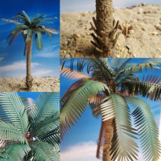 1/35, 1/48, 1/72 Partly Untrimmed Super Detailed Palm Tree