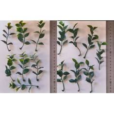 1/35 - 1/16 Plastic Plants - Jungle Plant Set #6 (15pcs, 2 types)