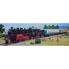 1/87 Orient Express Complete Train Set