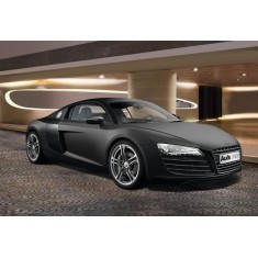 1/24 Audi R8