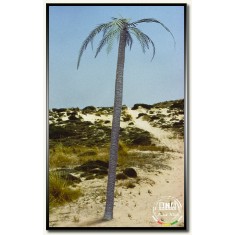 1/35 Palm Tree