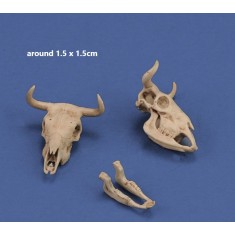 1/35 Cow Skulls