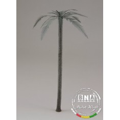 1/48 Palm
