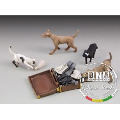 1/35 Dogs and Cats
