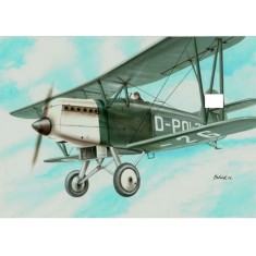 1/72 Luftwaffe Arado 65