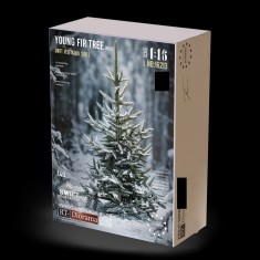 1/16 Young Fir Tree No.1 (Height: approx. 140 mm)