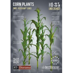 1/35 Corn Plants