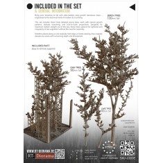 1/35 Deciduous Trees Set (Early Growth)