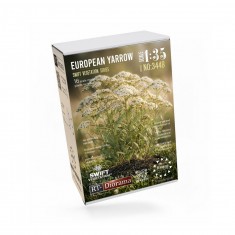 1/35 European Yarrow 3D Printed Diorama Plants