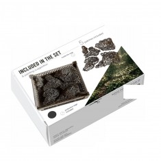 1/35 Ground Ivy (Swift Vegetation)