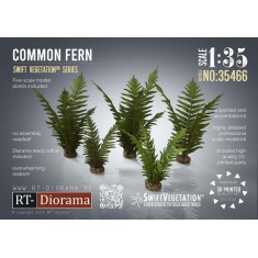 1/35 Common Fern Set