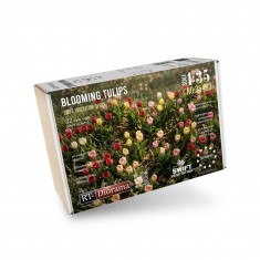 1/35 Blooming Tulips (Swift Vegetation)