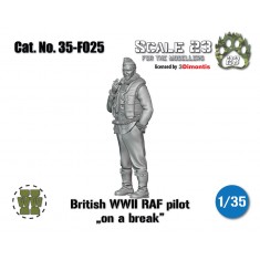 1/35 WWII British RAF Pilot on a Break
