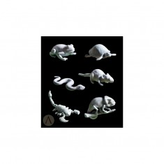 75mm Scale Bug set (6pcs, White metal casting)