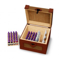 Instant Colors Acrylic Paints Set - Wooden Mimic Chest