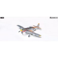 1/48 F-51D Mustang Korean War