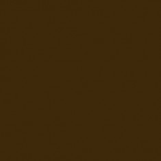 Acrylic Paint Mini XF-10 Flat Brown (10ml)