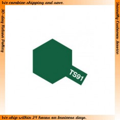 Lacquer Spray Paint TS-91 Dark Green JGSDF (100ml)