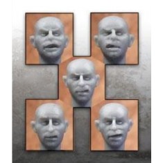 1/35 Heads Set #3 (5 Heads)