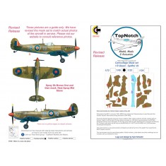 1/24 Spitfire Vb I R Gleed Camo Masks