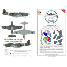 1/48 P-51D Mustang PD-L No 303 (Polish) Camo Masks