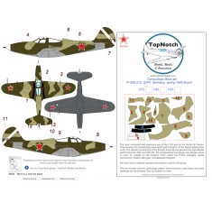 1/48 Soviet P-39Q 213. GIAP Germany Spring 1945 Camo Masks