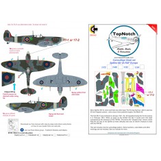 1/24 Spitfire Mk Vb RAF Europe Camo Masks