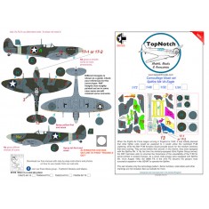 1/24 Spitfire Mk Vb Eagle Camo Masks