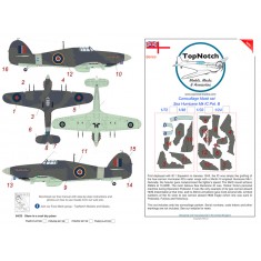 1/24 Sea Hurricane - Mk IIc Pattern B Camo Masks