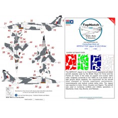 1/48 SEPECAT RAF Jaguar Gr1/Gr3 Winter Camouflage Mask