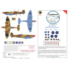 1/32 Spitfire Colin Gray CG Insignia Masks