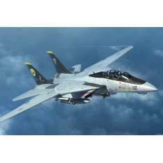 1/144 Grumman F-14D Super Tomcat
