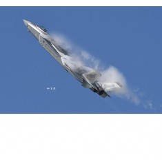 1/48 Chinese Chengdu J-20 Mighty Dragon