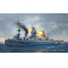 1/700 HMS Nelson 1944