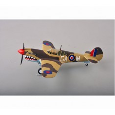 1/48 Curtiss P-40M Warhawk No.112 Sqn Sicily 1943 [Winged Ace Series]