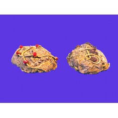 1/35 Fishing Nets