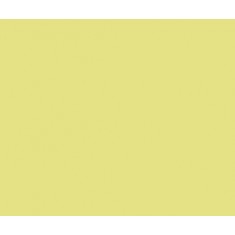 Model Colour Acrylic Paint - German Yellow 17ml