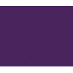 Model Colour Acrylic Paint - Royal Purple 17ml