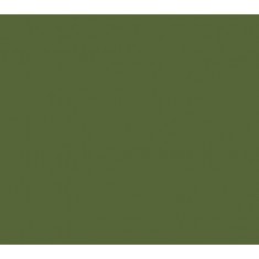 Model Colour Acrylic Paint - Luftwaffe Camouflage Green 17ml