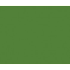 Model Colour Acrylic Paint - German Cam Bright Green 17ml