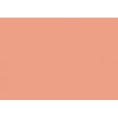 Model Colour Acrylic Paint - Salmon Rose 17ml