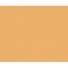 Model Colour Acrylic Paint - Sunny Skin-tone 17ml